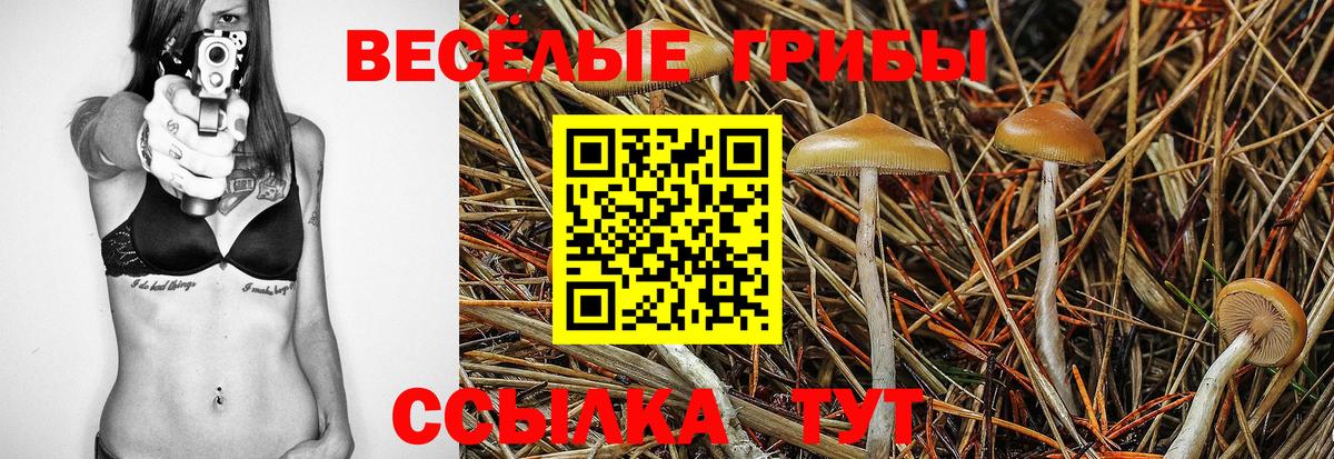 Галлюциногенные грибы прущие грибы Кингисепп