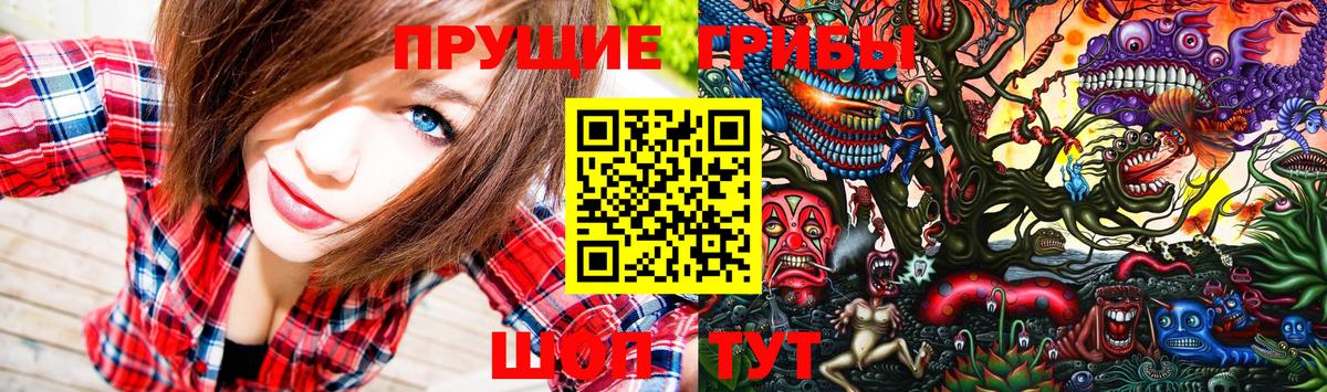 Кингисепп  Псилоцибиновые грибы Magic Shrooms  где продают   Вход с VPN 